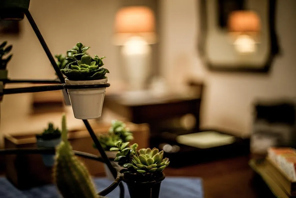 Apartment Dietro La Cattedrale Palermo Bed & Breakfast